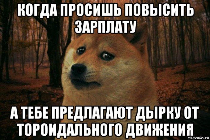 когда просишь повысить зарплату а тебе предлагают дырку от тороидального движения, Мем SAD DOGE