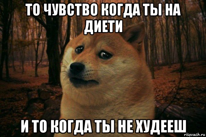 то чувство когда ты на диети и то когда ты не худееш, Мем SAD DOGE