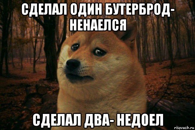 сделал один бутерброд- ненаелся сделал два- недоел, Мем SAD DOGE