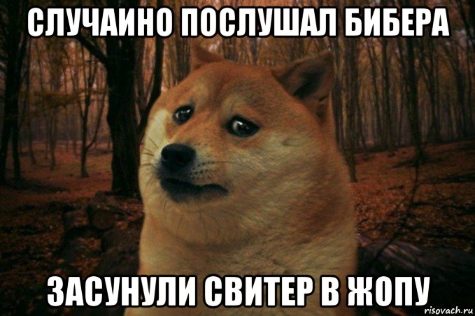 случаино послушал бибера засунули свитер в жопу, Мем SAD DOGE