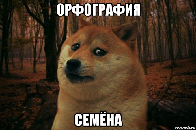 орфография семёна, Мем SAD DOGE