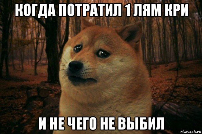 когда потратил 1 лям кри и не чего не выбил, Мем SAD DOGE