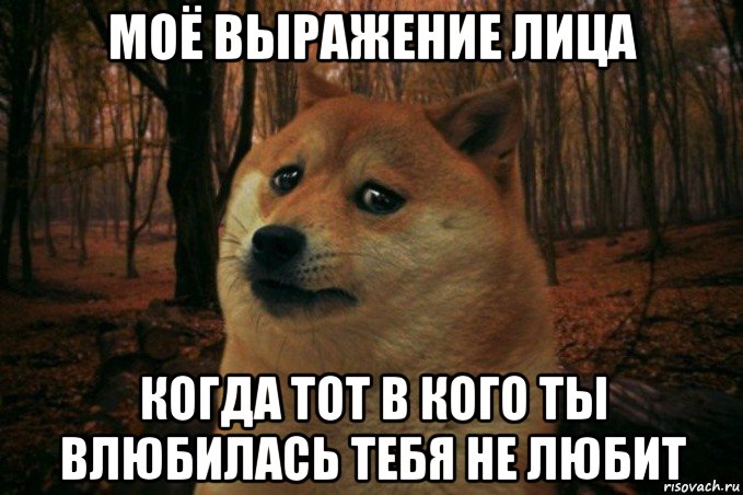 моё выражение лица когда тот в кого ты влюбилась тебя не любит, Мем SAD DOGE