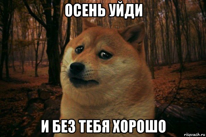 осень уйди и без тебя хорошо, Мем SAD DOGE