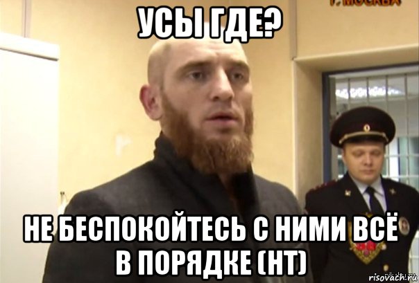 усы где? не беспокойтесь с ними всё в порядке (нт), Мем Шучу