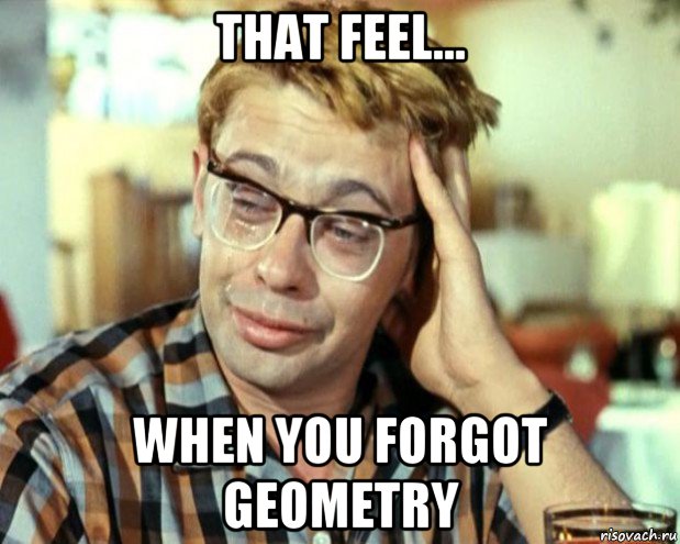 that feel... when you forgot geometry, Мем Шурик (птичку жалко)