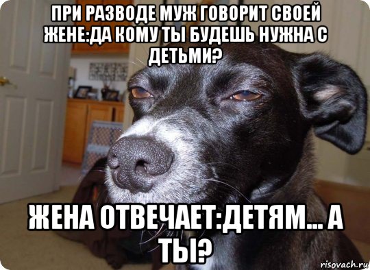 при разводе муж говорит своей жене:да кому ты будешь нужна с детьми? жена отвечает:детям... а ты?, Мем  Собака подозревака