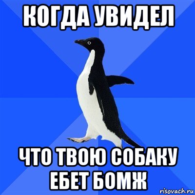 когда увидел что твою собаку ебет бомж, Мем  Социально-неуклюжий пингвин