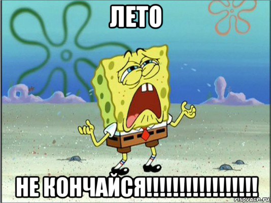 лето не кончайся!!!!!!!!!!!!!!!!!, Мем Спанч Боб плачет