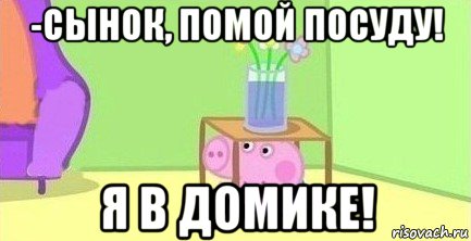 -сынок, помой посуду! я в домике!