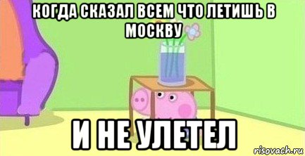 когда сказал всем что летишь в москву и не улетел, Мем  Свинка пеппа под столом