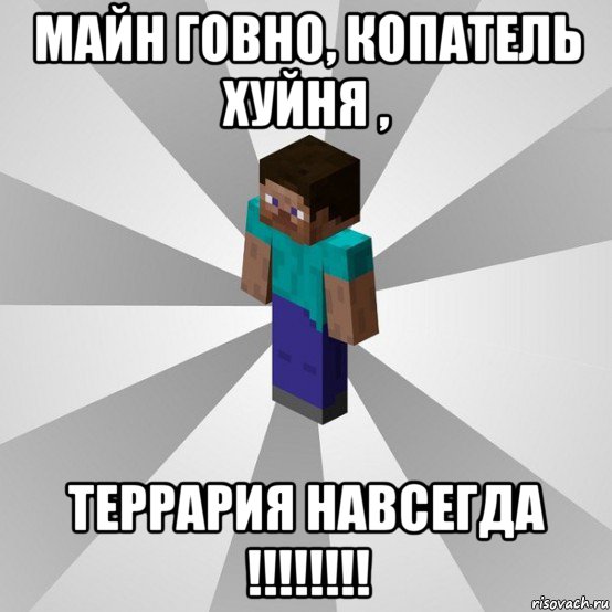 майн говно, копатель хуйня , террария навсегда !!!!!!!!, Мем Типичный игрок Minecraft