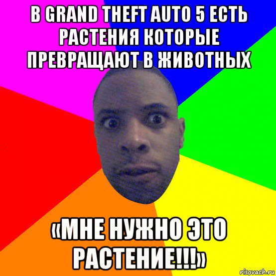 в grand theft auto 5 есть растения которые превращают в животных «мне нужно это растение!!!», Мем  Типичный Негр