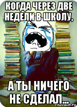 когда через две недели в школу, а ты ничего не сделал..., Мем Типовий десятикласник