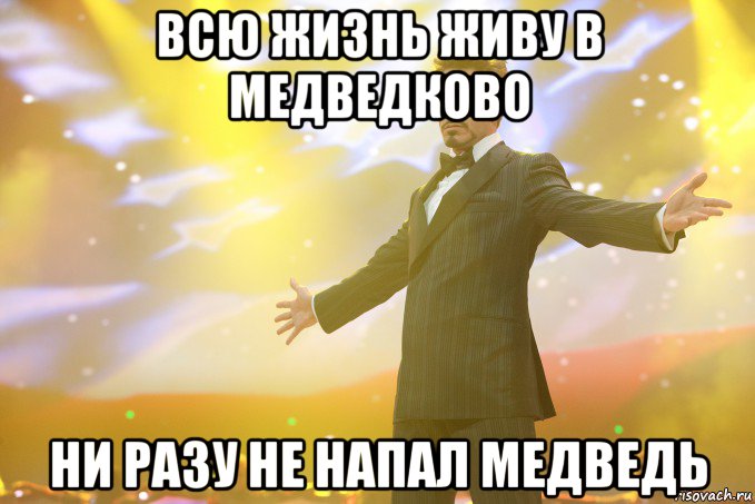 всю жизнь живу в медведково ни разу не напал медведь, Мем Тони Старк (Роберт Дауни младший)