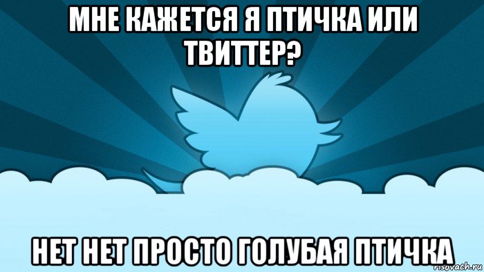 мне кажется я птичка или твиттер? нет нет просто голубая птичка, Мем    твиттер