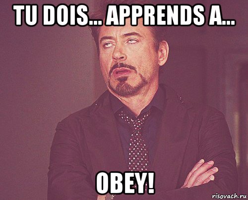 tu dois... apprends a... obey!, Мем твое выражение лица