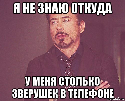 я не знаю откуда у меня столько зверушек в телефоне, Мем твое выражение лица