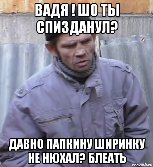 вадя ! шо ты спизданул? давно папкину ширинку не нюхал? блеать, Мем  Ты втираешь мне какую то дичь