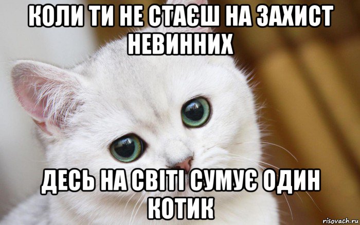 коли ти не стаєш на захист невинних десь на світі сумує один котик, Мем  В мире грустит один котик