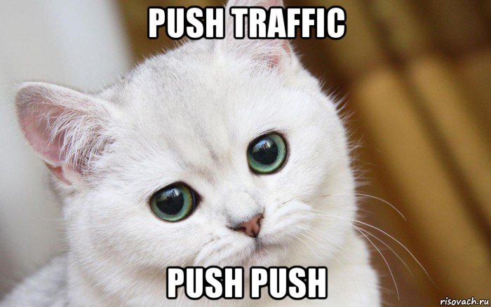 push traffic push push, Мем  В мире грустит один котик