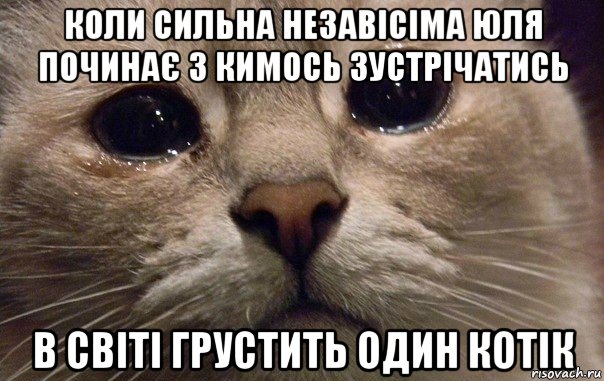 коли сильна незавісіма юля починає з кимось зустрічатись в світі грустить один котік, Мем   В мире грустит один котик