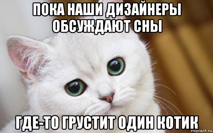 пока наши дизайнеры обсуждают сны где-то грустит один котик, Мем  В мире грустит один котик