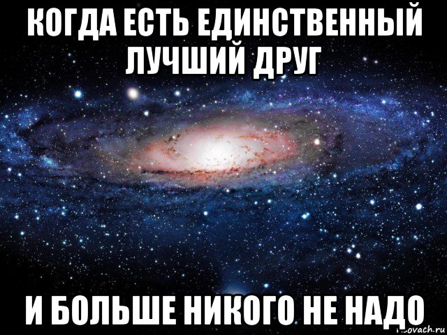 когда есть единственный лучший друг и больше никого не надо, Мем Вселенная