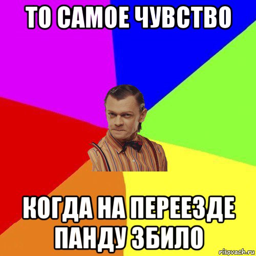 то самое чувство когда на переезде панду збило, Мем Вталька