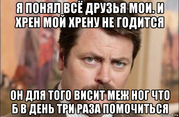 я понял всё друзья мои. и хрен мой хрену не годится он для того висит меж ног что б в день три раза помочиться, Мем  Я человек простой