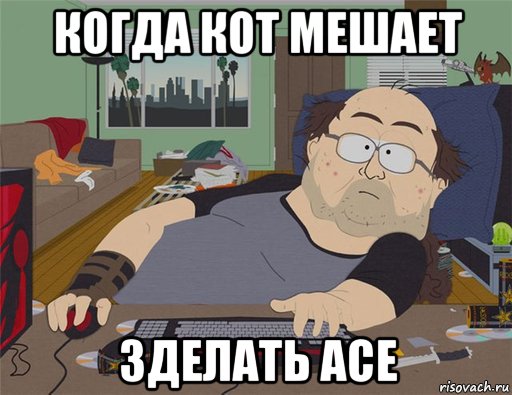 когда кот мешает зделать ace, Мем   Задрот south park