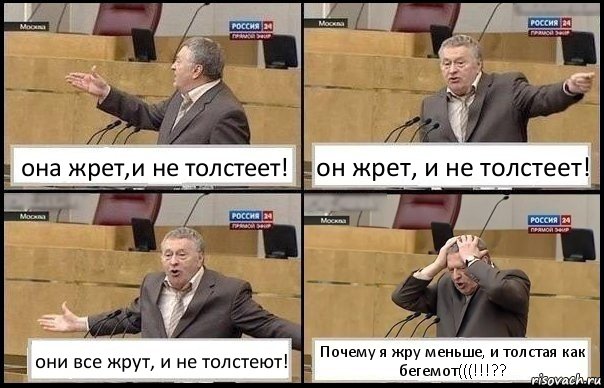 она жрет,и не толстеет! он жрет, и не толстеет! они все жрут, и не толстеют! Почему я жру меньше, и толстая как бегемот(((!!!??, Комикс Жирик в шоке хватается за голову