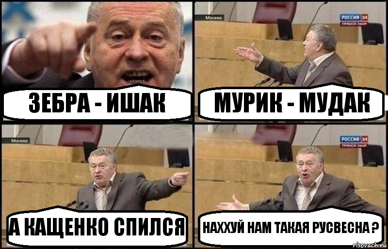 ЗЕБРА - ИШАК МУРИК - МУДАК А КАЩЕНКО СПИЛСЯ НАХХУЙ НАМ ТАКАЯ РУСВЕСНА ?, Комикс Жириновский