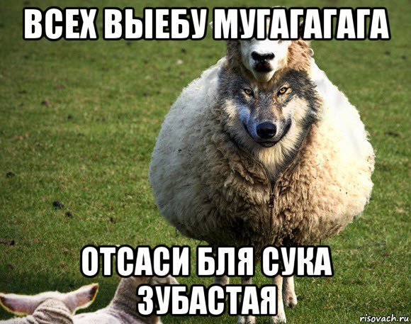 всех выебу мугагагага отсаси бля сука зубастая, Мем Злая Овца