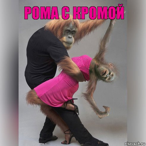 Рома с Кромой 