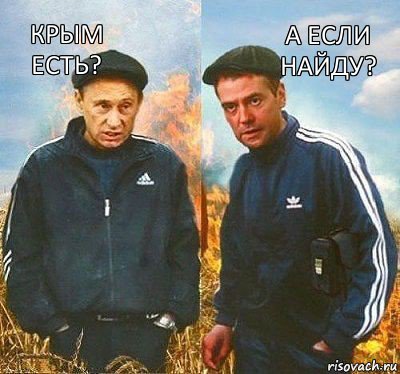 А ЕСЛИ НАЙДУ? КРЫМ ЕСТЬ?, Комикс Вова и Дима