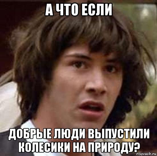 а что если добрые люди выпустили колесики на природу?, Мем А что если (Киану Ривз)