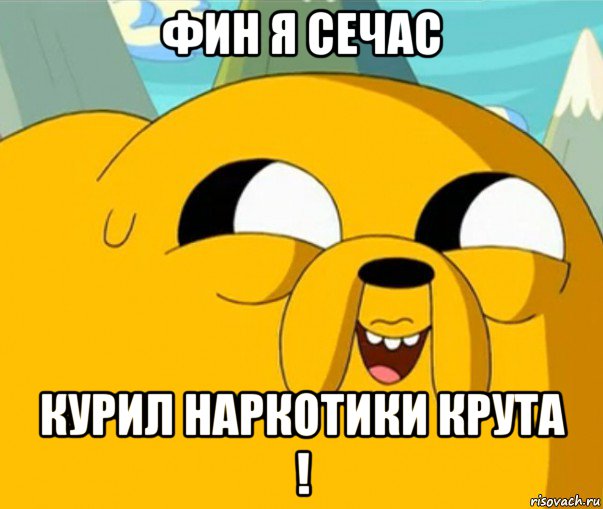 фин я сечас курил наркотики крута !, Мем  Adventure time