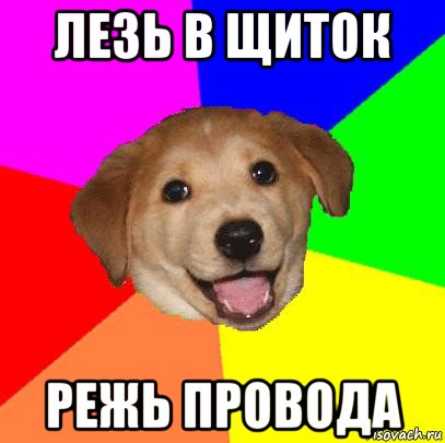 лезь в щиток режь провода, Мем Advice Dog