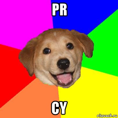 pr cy, Мем Advice Dog