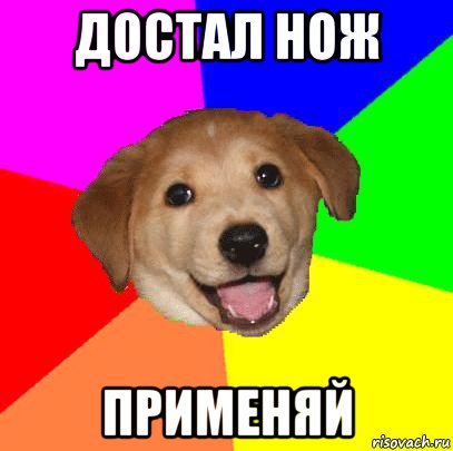 достал нож применяй, Мем Advice Dog