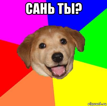 сань ты? , Мем Advice Dog