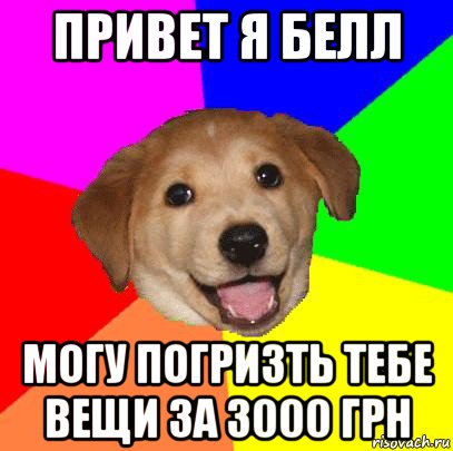 привет я белл могу погризть тебе вещи за 3000 грн, Мем Advice Dog