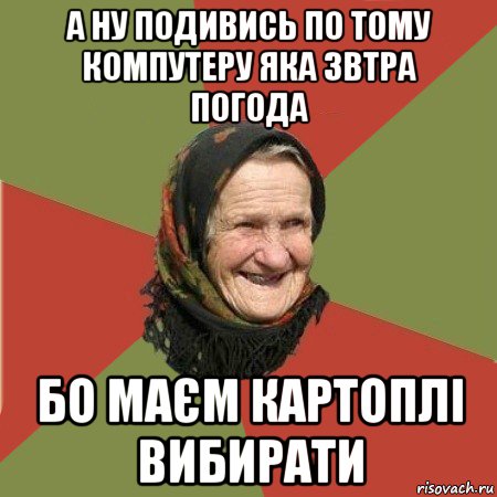 а ну подивись по тому компутеру яка звтра погода бо маєм картоплі вибирати, Мем  Бабушка