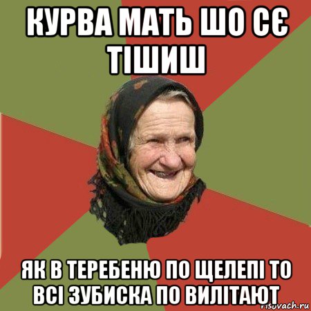 курва мать шо сє тішиш як в теребеню по щелепі то всі зубиска по вилітают, Мем  Бабушка