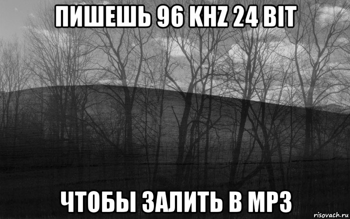 пишешь 96 khz 24 bit чтобы залить в mp3, Мем безысходность лес