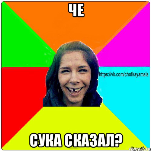 че сука сказал?