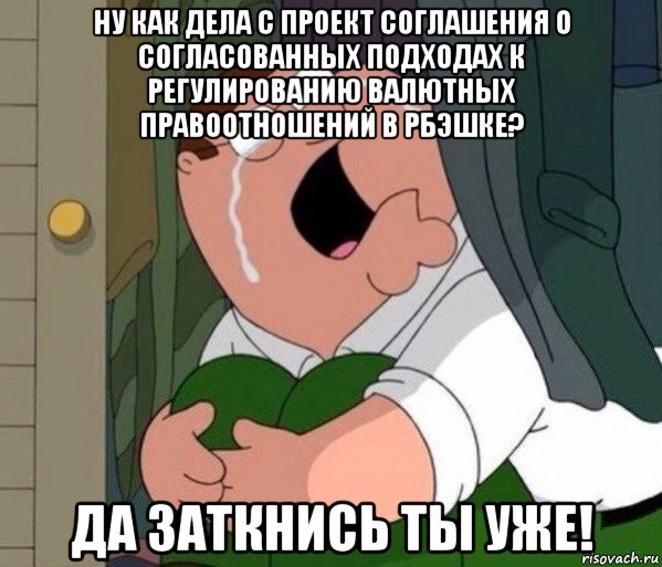 ну как дела с проект соглашения о согласованных подходах к регулированию валютных правоотношений в рбэшке? да заткнись ты уже!, Мем Да заткнись ты уже