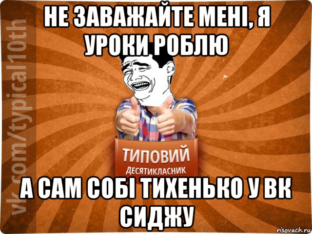 не заважайте мені, я уроки роблю а сам собі тихенько у вк сиджу, Мем десятиклассник5