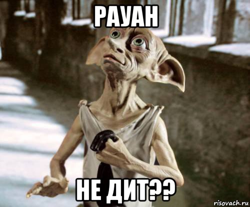рауан не дит??, Мем добби